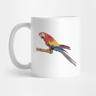 Macaw Parrot Mug